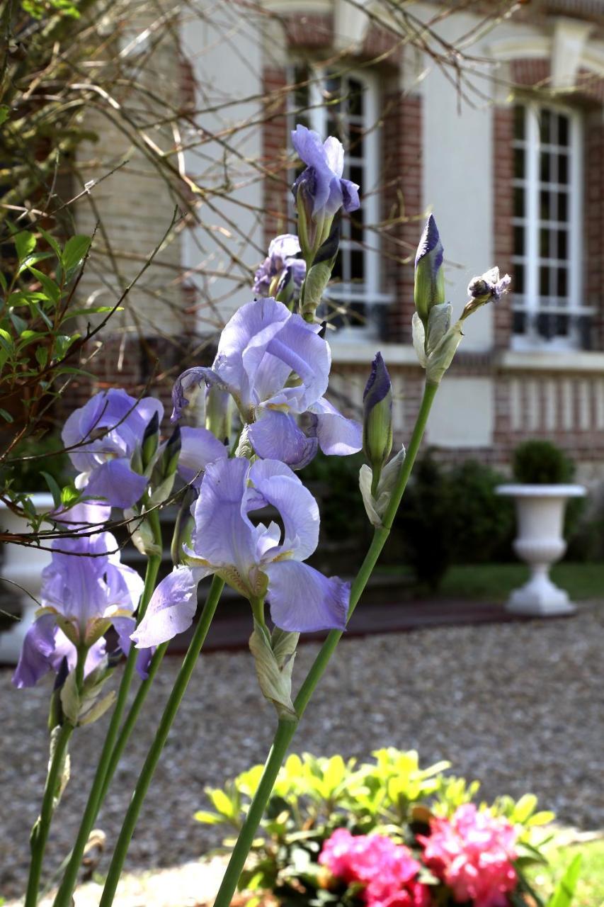 Manoir Le Mesnil Saint-Martin-aux-Chartrains Exterior photo